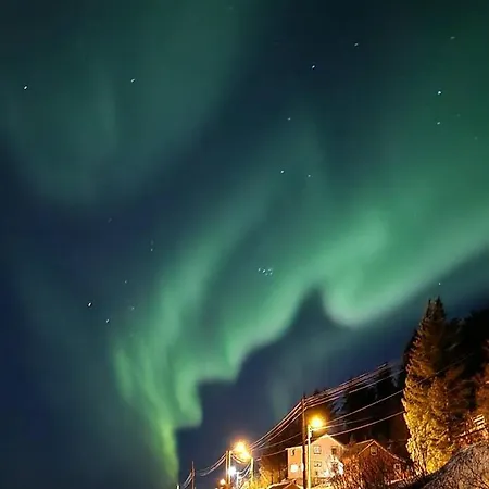 Senja Skaland * Melkarhola