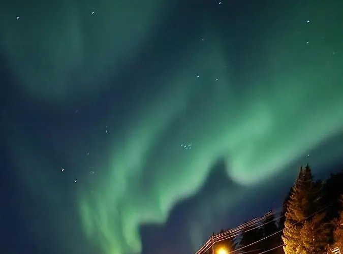 Senja Skaland * Melkarhola